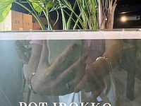 Houten pot in irokko - afbeelding 2 van  2