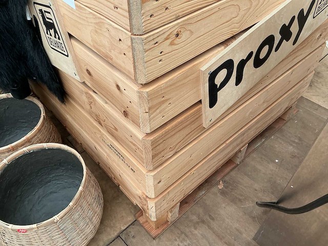 Houten presentatie bak - afbeelding 1 van  1