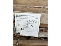 Houten tuinomheining (10x) - afbeelding 2 van  2
