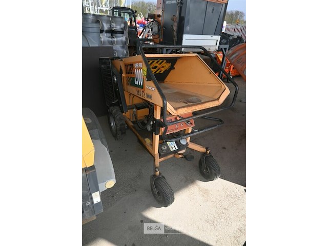 Houthakselaar eliet - afbeelding 4 van  7