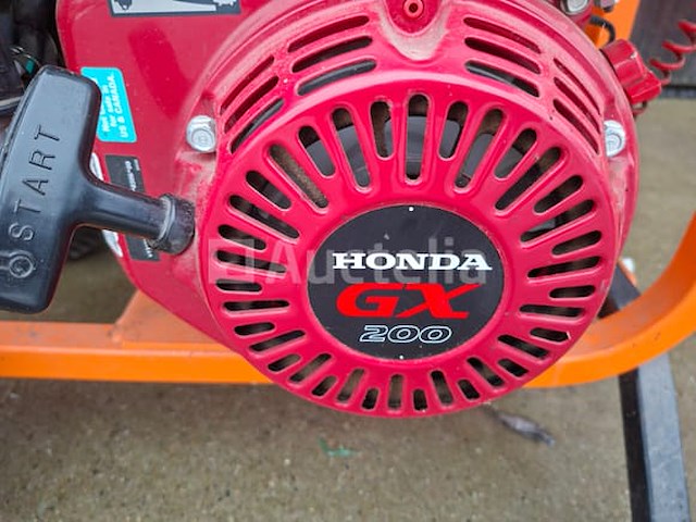 Houthakselaar - afbeelding 2 van  6