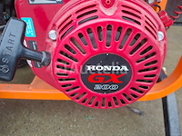 Houthakselaar - afbeelding 2 van  6