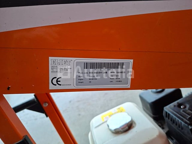 Houthakselaar - afbeelding 6 van  6