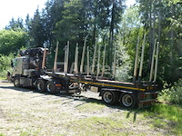 Houtkapwagen (2011-779.160 km-vin:xler6x40005249246) - afbeelding 11 van  58