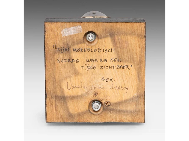 Hubert minnebo (1940), 'variaties op de lingam - zijn morfologisch gedrag was na een tijdje zichtbaar', polished and brown patinated bronze, 1/1, 2001, signed (+) 34.5 x 11 x 11 cm. (13.58 x 4.33 x 4.33 in.) - afbeelding 6 van  9
