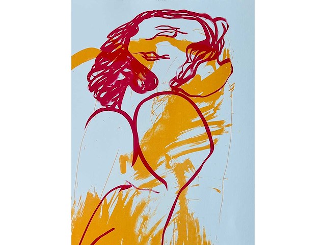 Hugo claus - fuga - kleurenzeefdruk - afbeelding 2 van  7