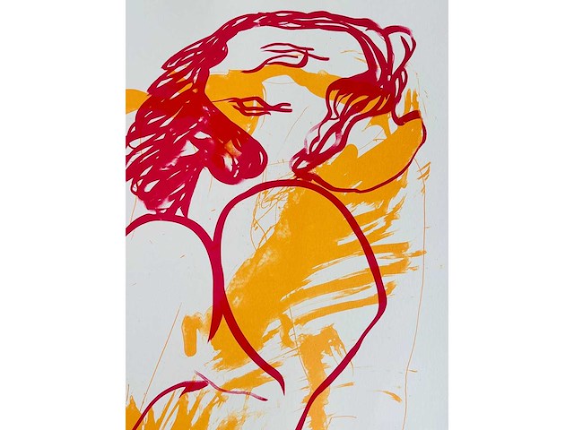 Hugo claus - fuga - kleurenzeefdruk - afbeelding 7 van  7