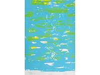 Hugo claus - fuga - kleurenzeefdruk