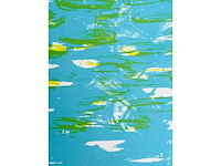 Hugo claus - fuga - kleurenzeefdruk - afbeelding 4 van  6