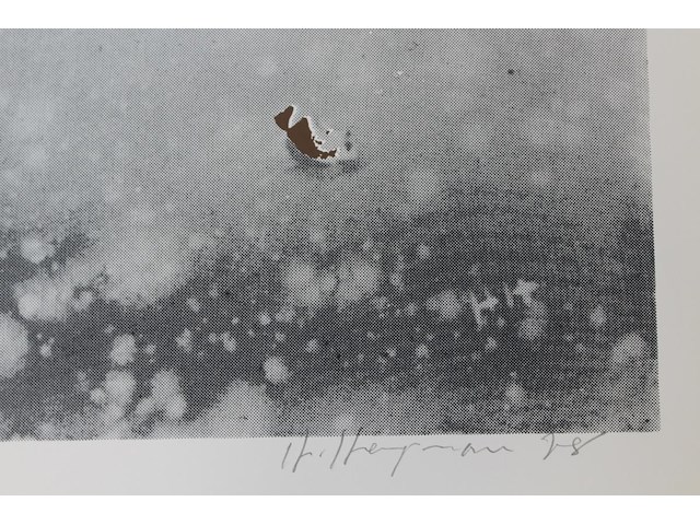 Hugo heyrman - weerspiegeling - afbeelding 3 van  3