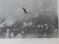 Hugo heyrman - weerspiegeling - afbeelding 3 van  3