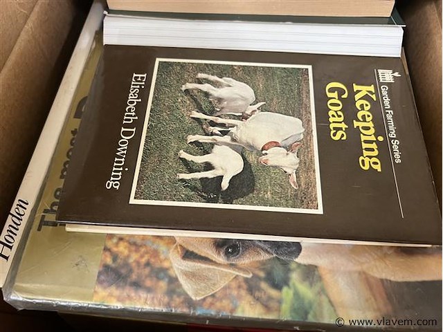 Huisdieren boeken - afbeelding 3 van  5