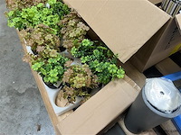 Huisdieren toebehoren - afbeelding 4 van  4