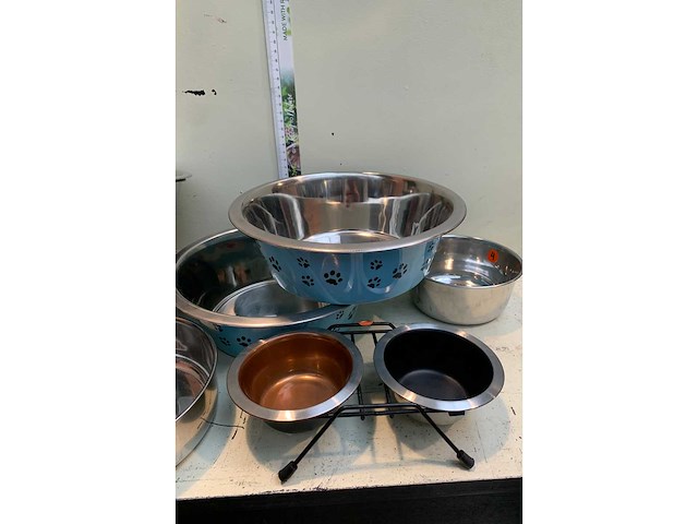 Huisdieren - afbeelding 6 van  6