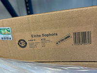 Hybrid design vloer - afbeelding 3 van  4