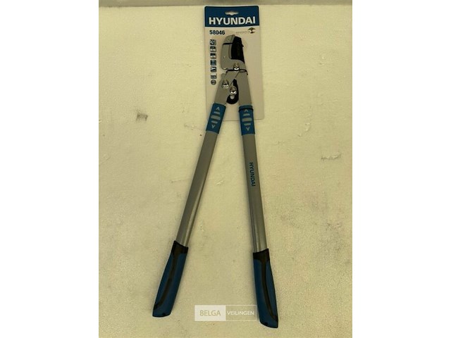 Hyundai hybrid action anvil lopper 69cm - afbeelding 2 van  4