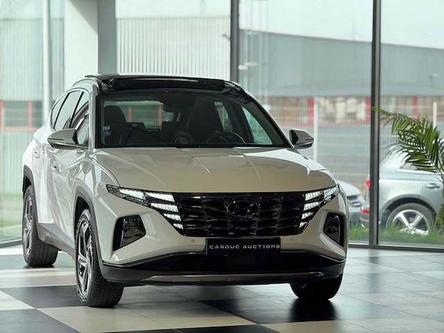 Hyundai tucson 1.6 t-gdi 265 trac plug-in bva6 executive - afbeelding 12 van  59