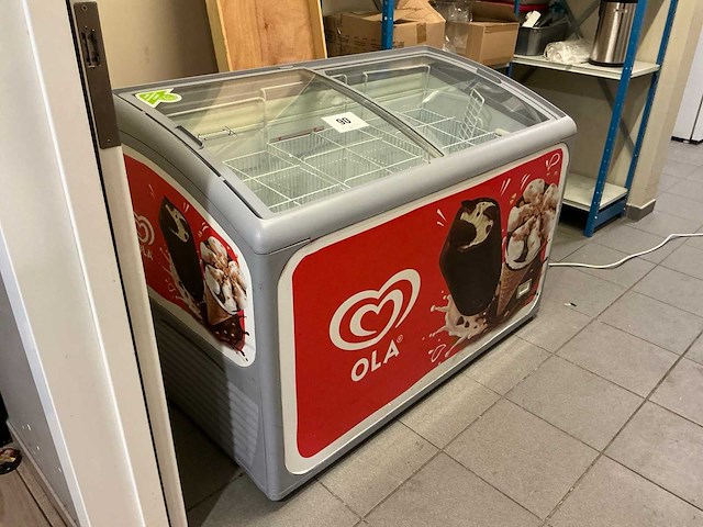 Iarp ola nucab 300 at vrieskist - afbeelding 1 van  4