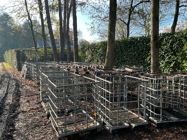 Ibc 1000l (57x) - afbeelding 2 van  10