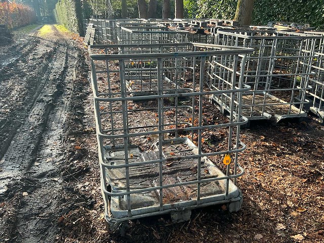 Ibc 1000l (57x) - afbeelding 3 van  10