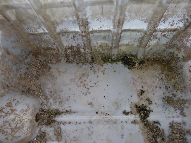 Ibc container - afbeelding 2 van  2