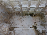 Ibc container - afbeelding 2 van  2