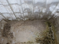 Ibc container - afbeelding 2 van  2