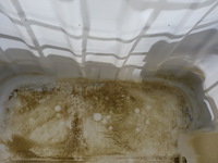 Ibc container - afbeelding 2 van  2