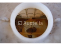 Ibc-tank - afbeelding 2 van  6