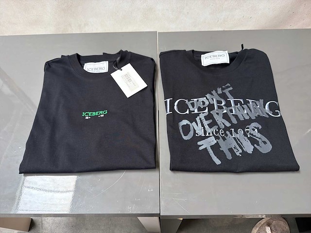 Iceberg t-shirt (2x) - afbeelding 1 van  6