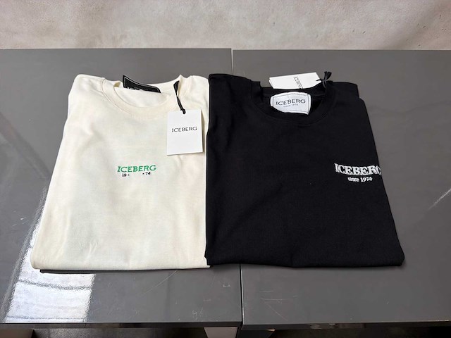 Iceberg t-shirt (2x) - afbeelding 1 van  6