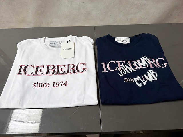 Iceberg t-shirt (2x) - afbeelding 1 van  2