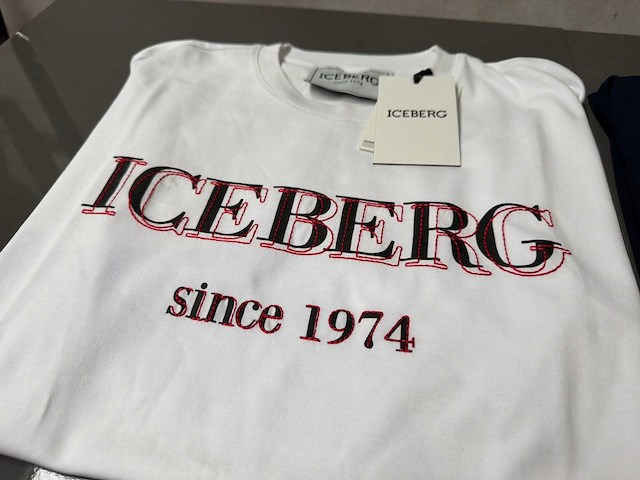 Iceberg t-shirt (2x) - afbeelding 2 van  2