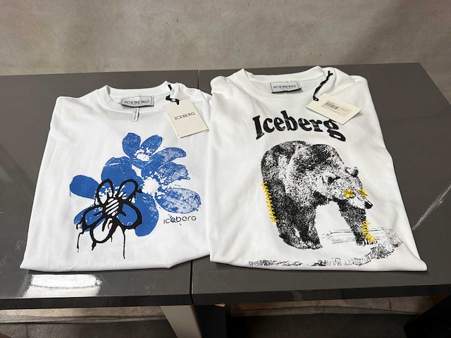 Iceberg t-shirt (2x) - afbeelding 1 van  4