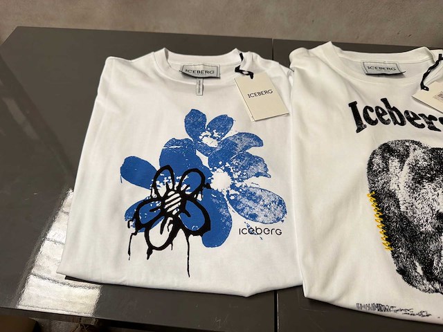 Iceberg t-shirt (2x) - afbeelding 2 van  4