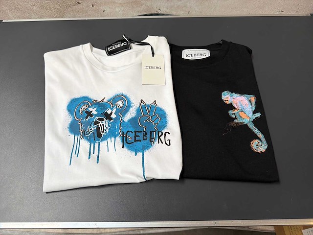 Iceberg t-shirt (2x) - afbeelding 1 van  5
