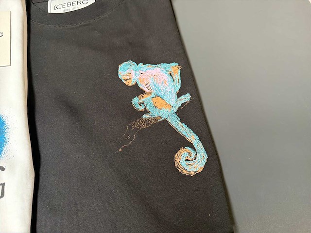 Iceberg t-shirt (2x) - afbeelding 3 van  5