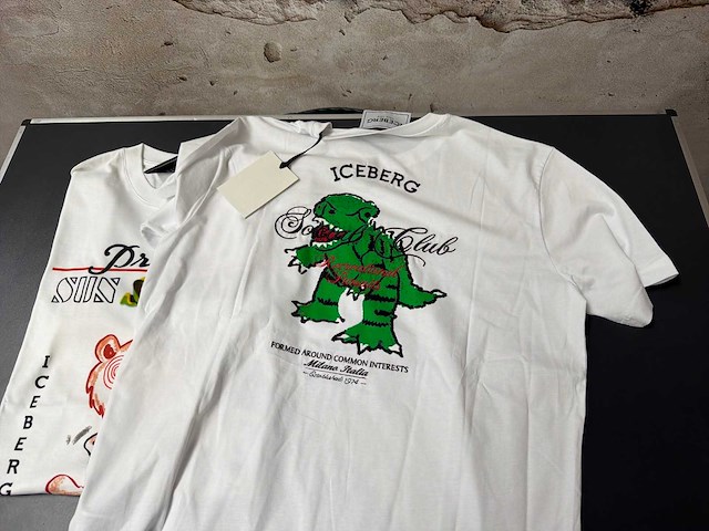 Iceberg t-shirt (2x) - afbeelding 2 van  3