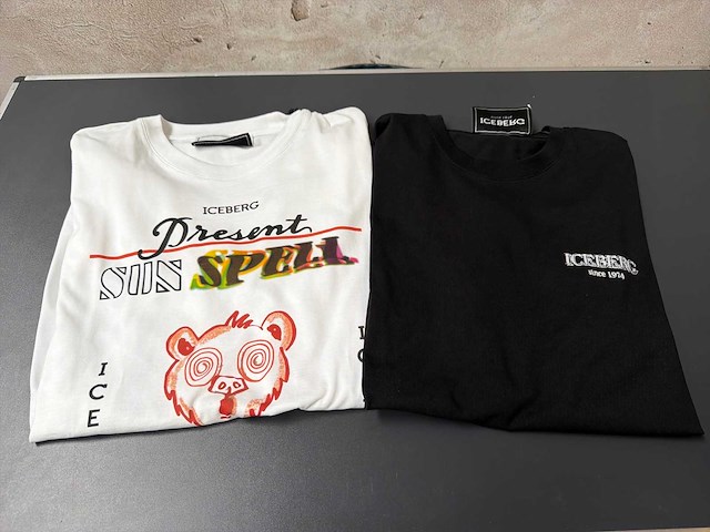 Iceberg t-shirt (2x) - afbeelding 1 van  4