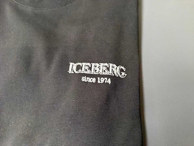 Iceberg t-shirt (2x) - afbeelding 2 van  4