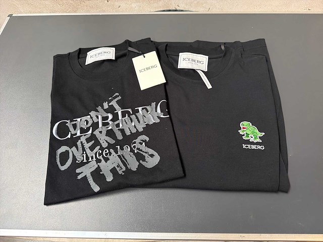 Iceberg t-shirt (2x) - afbeelding 1 van  5