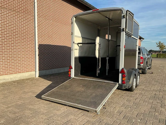 Ifor williams hb511 paardentrailer - afbeelding 7 van  25