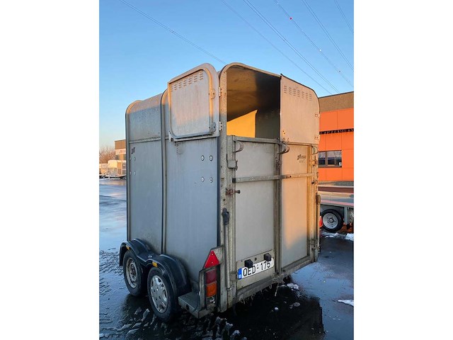 Ifor williams trailer - hb505 - hb505 - horse transport - afbeelding 10 van  14