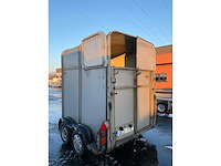 Ifor williams trailer - hb505 - hb505 - horse transport - afbeelding 10 van  14
