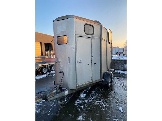 Ifor williams trailer - hb505 - hb505 - horse transport - afbeelding 12 van  14