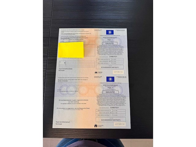 Ifor williams trailers - hb505 - horse transport - afbeelding 19 van  19