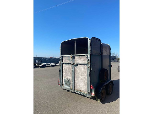 Ifor williams trailers - hb505 - horse transport - afbeelding 15 van  19