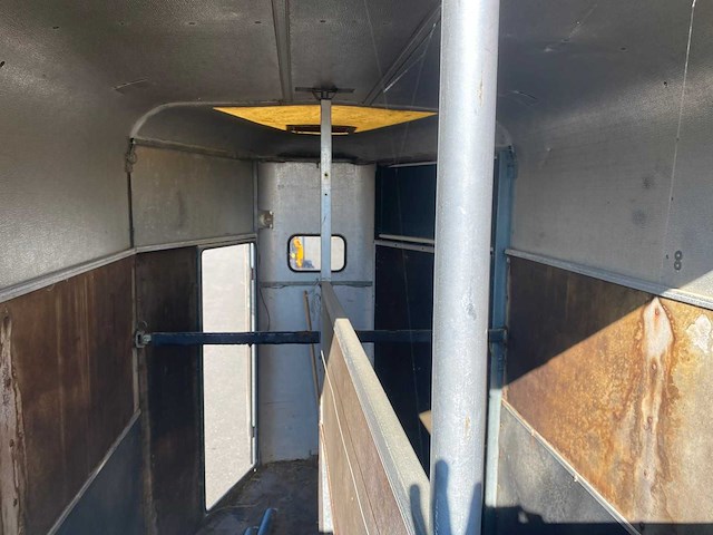 Ifor williams trailers - hb505 - horse transport - afbeelding 18 van  19