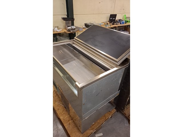 Ijsvitriene - afbeelding 2 van  4