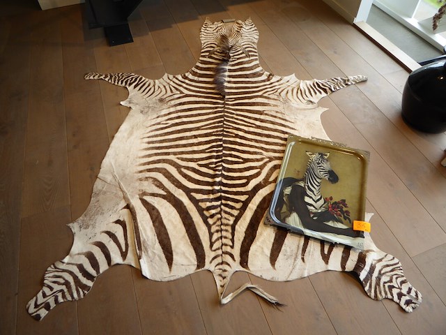 Ijzeren plaat+tapijt - afbeelding 1 van  3